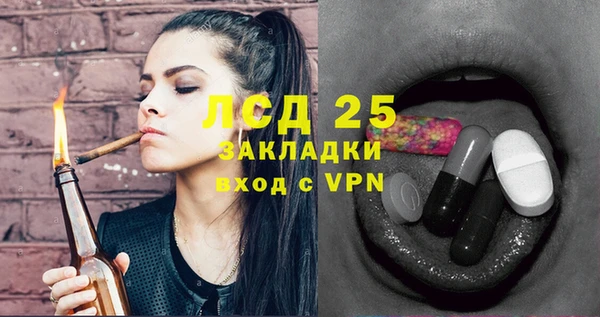 ГАЛЛЮЦИНОГЕННЫЕ ГРИБЫ Надым