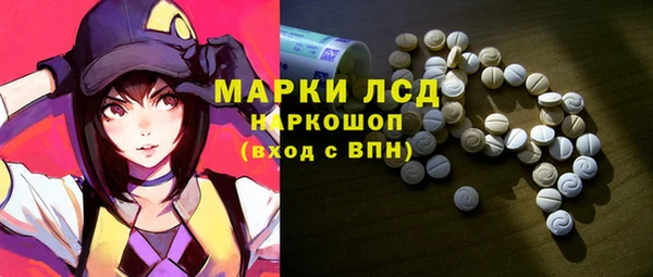ГАЛЛЮЦИНОГЕННЫЕ ГРИБЫ Надым